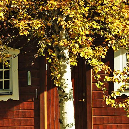 Cottage On Wild River In Lapland/Sweden Karlsten Exterior foto