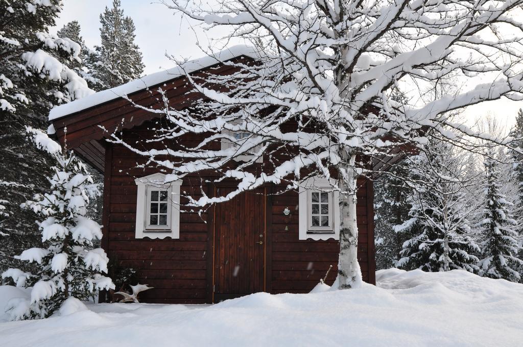 Cottage On Wild River In Lapland/Sweden Karlsten Zimmer foto
